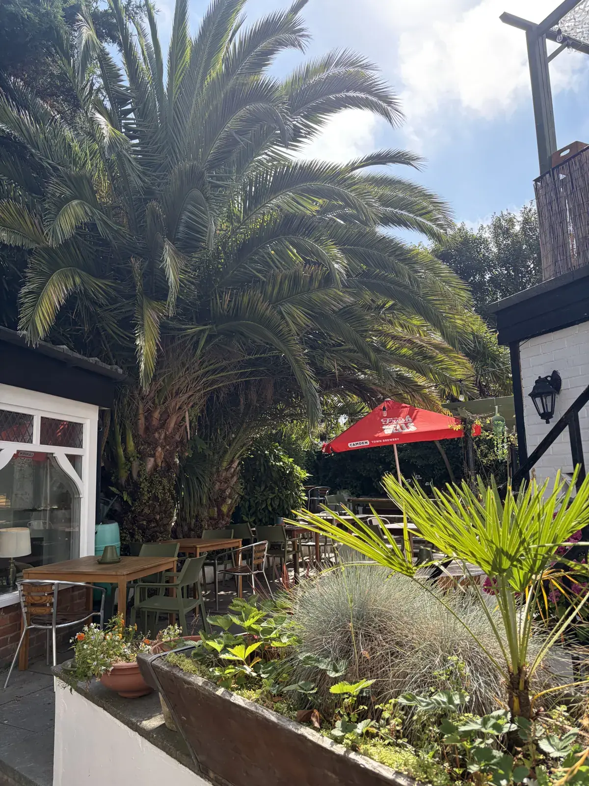 The Pullman's garden terrace with palms