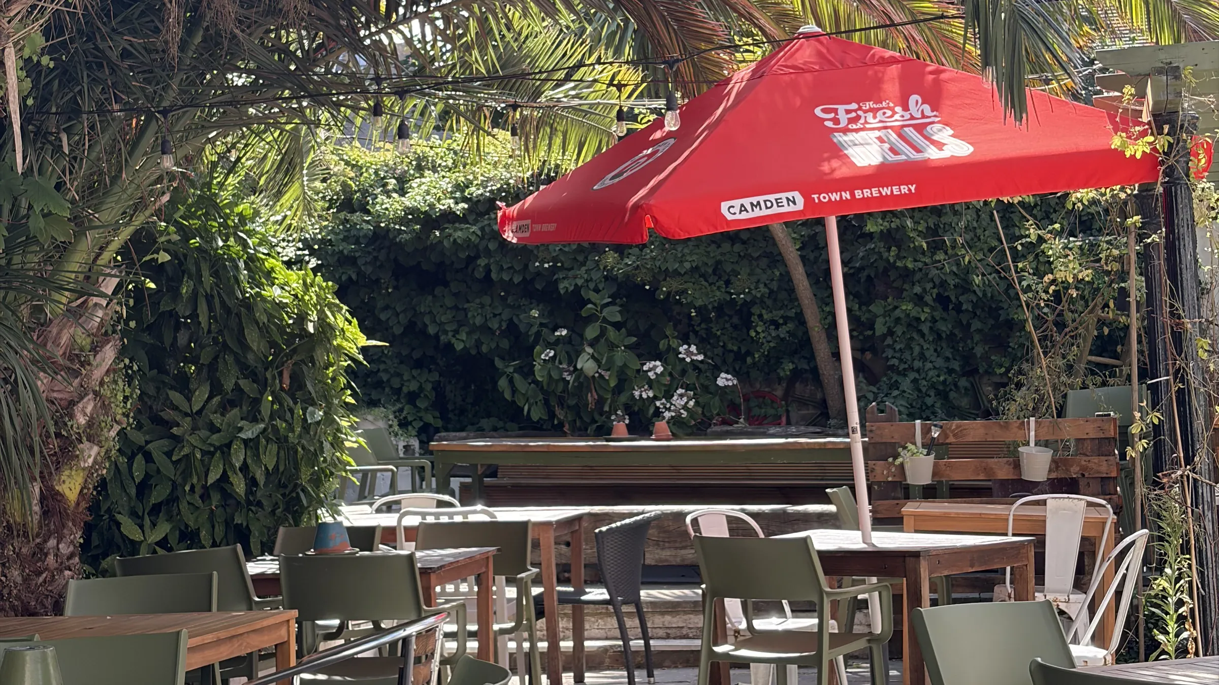 The Pullman’s sunny garden terrace under a big palm, with a red parasol, green chairs, an ivy wall and festoon lights
